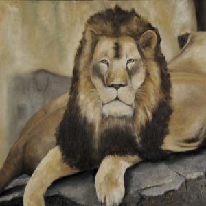 001-lion lionne 2019