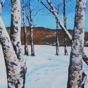 LAR Bouleau 03 18X24po