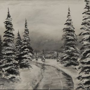 SM Silence de L'épinette 16X12po