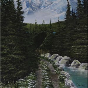 SM Trou noir 12X16po