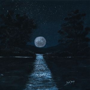 SM coucher de lune.14X14po